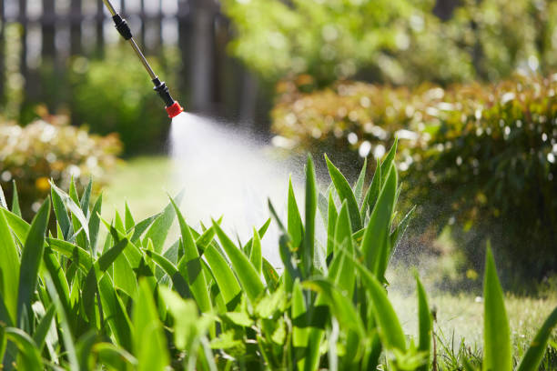 Tamper-Resistant Bait Stations for Rodents in Marysville