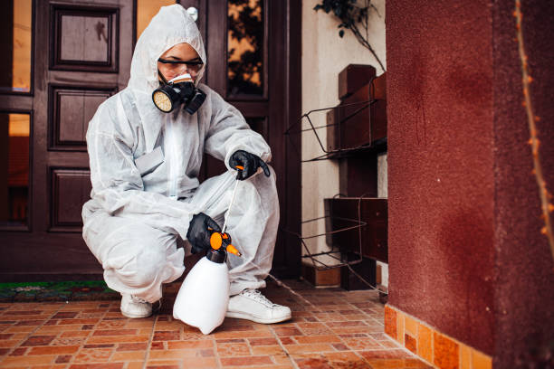 Attic and Crawl Space Rodent Treatment in Marysville