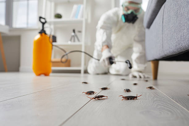 Commercial Rodent Management in Marysville